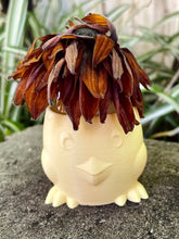 Load image into Gallery viewer, Beadie Bug Play - Eggbert Egg Cup