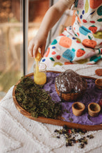 Load image into Gallery viewer, The Saltwater Collective - Sea Algae - Sensory Base for Potion Play and Sensory Trays - LARGE