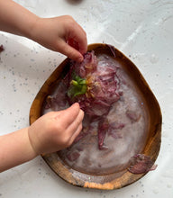 Load image into Gallery viewer, Papoose - Natural Shaped teak plate (1 plate)