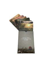 Load image into Gallery viewer, Papoose - Dinosaur World Cards 12 pieces