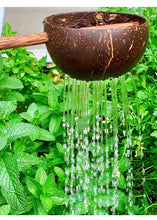 Load image into Gallery viewer, Papoose - Coconut Sieve