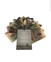 Load image into Gallery viewer, Papoose - Dinosaur World Cards 12 pieces