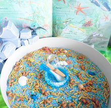 Load image into Gallery viewer, Curious By Nature Sensory Play - Seashore Sensory Base