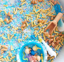 Load image into Gallery viewer, Curious By Nature Sensory Play - Seashore Sensory Base