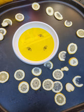 Load image into Gallery viewer, Sass and Spunk - Set of 12 Acrylic Bees