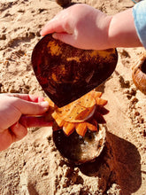 Load image into Gallery viewer, Wild Mountain Child - SUN STRAINER