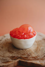 Load image into Gallery viewer, The Saltwater Collective -
Red Coral Fan Saltwater Fizz - Medium potion bubbles