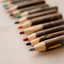 Load image into Gallery viewer, Qtoys - Tree Colour Pencils With Holder