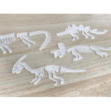 Load image into Gallery viewer, Sass and Spunk - Dinosaur Bones Set of 5 Acrylic