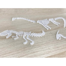 Load image into Gallery viewer, Sass and Spunk - Dinosaur Bones Set of 5 Acrylic