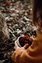 Load image into Gallery viewer, Kinfolk and Co. - Play Pie Eco Mould