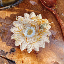 Load image into Gallery viewer, Wild Mountain Child - Sunshine PlayFizz