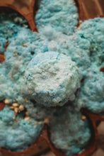 Load image into Gallery viewer, The Saltwater Collective - 
Earth Fizz Bomb
