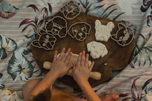 Load image into Gallery viewer, Kinfolk Pantry - Pet Friends Eco Cutter Set - 5 Animal Faces
