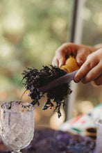 Load image into Gallery viewer, The Saltwater Collective - Sea Algae - Sensory Base for Potion Play and Sensory Trays - LARGE
