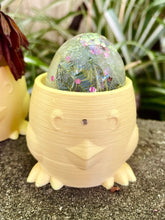 Load image into Gallery viewer, Beadie Bug Play - Eggbert Egg Cup
