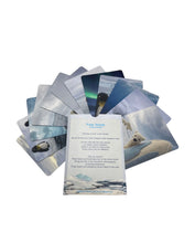 Load image into Gallery viewer, Papoose - Polar World Cards 12 pieces
