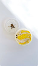 Load image into Gallery viewer, Play Clay - Teddy Bear Bee Playdough  (1 tub 130grams)

