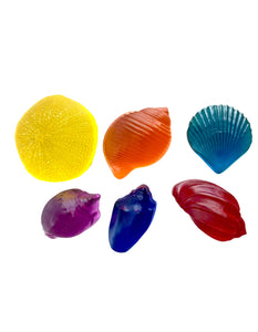 Papoose - Lucite Shell Set Bright - 6 Piece
