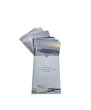 Load image into Gallery viewer, Papoose - Polar World Cards 12 pieces

