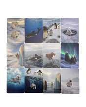Load image into Gallery viewer, Papoose - Polar World Cards 12 pieces
