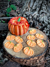 Load image into Gallery viewer, Beadie Bug Play - Luminous Pumpkins (bag of 10)
