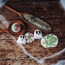 Load image into Gallery viewer, Wild Mountain Child - Spooktacular Case of Scares
