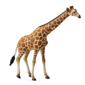 CollectA - RETICULATED GIRAFFE (XL)