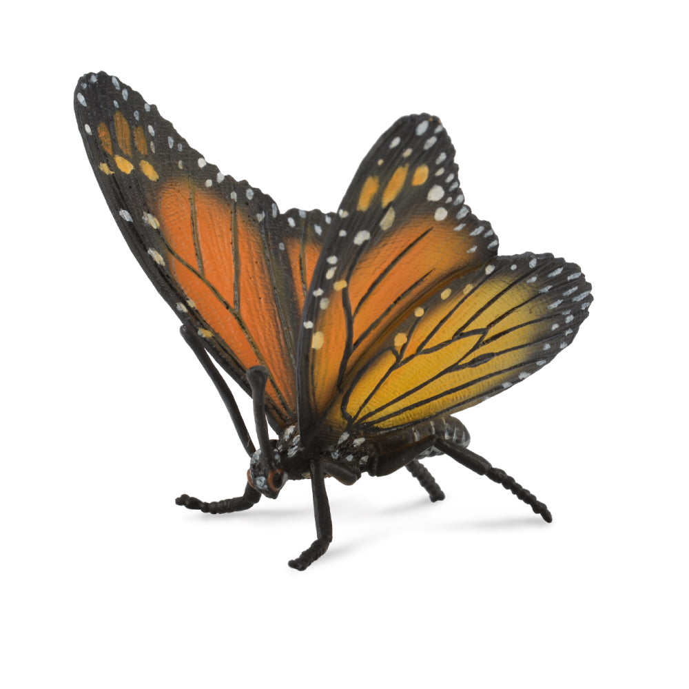 CollectA - MONARCH BUTTERFLY (L)