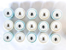 Load image into Gallery viewer, Play Clay - Blue Banded Bee (1 tub 260g)
