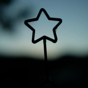 Kinfolk Pantry - Halloween Star Eco Bubble Wand