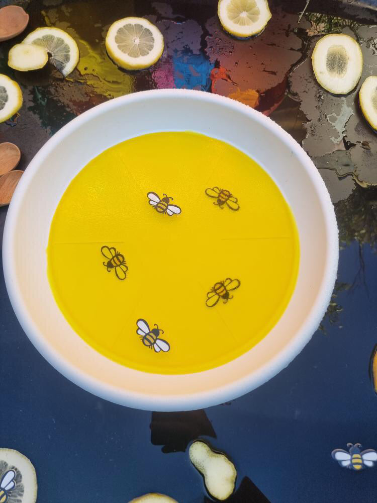Sass and Spunk - Set of 12 Acrylic Bees