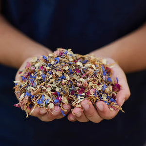 Gus + Mabel - Delightful Dried Flowers Flowering Confetti Small