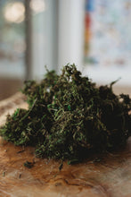 Load image into Gallery viewer, The Saltwater Collective - Sea Algae - Sensory Base for Potion Play and Sensory Trays - LARGE
