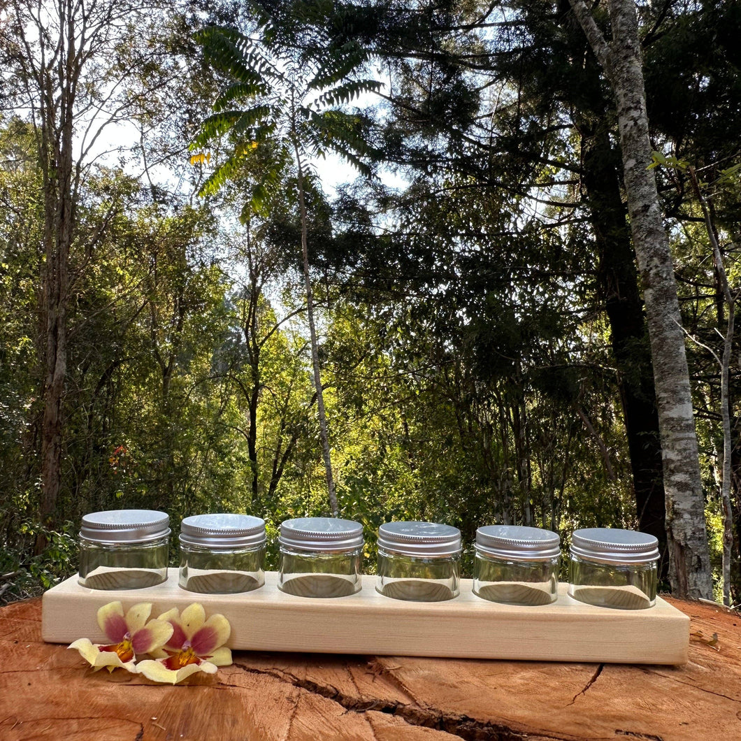 Eco Art and Craft - Timber Paint Holder Set (Includes 6 Jars)