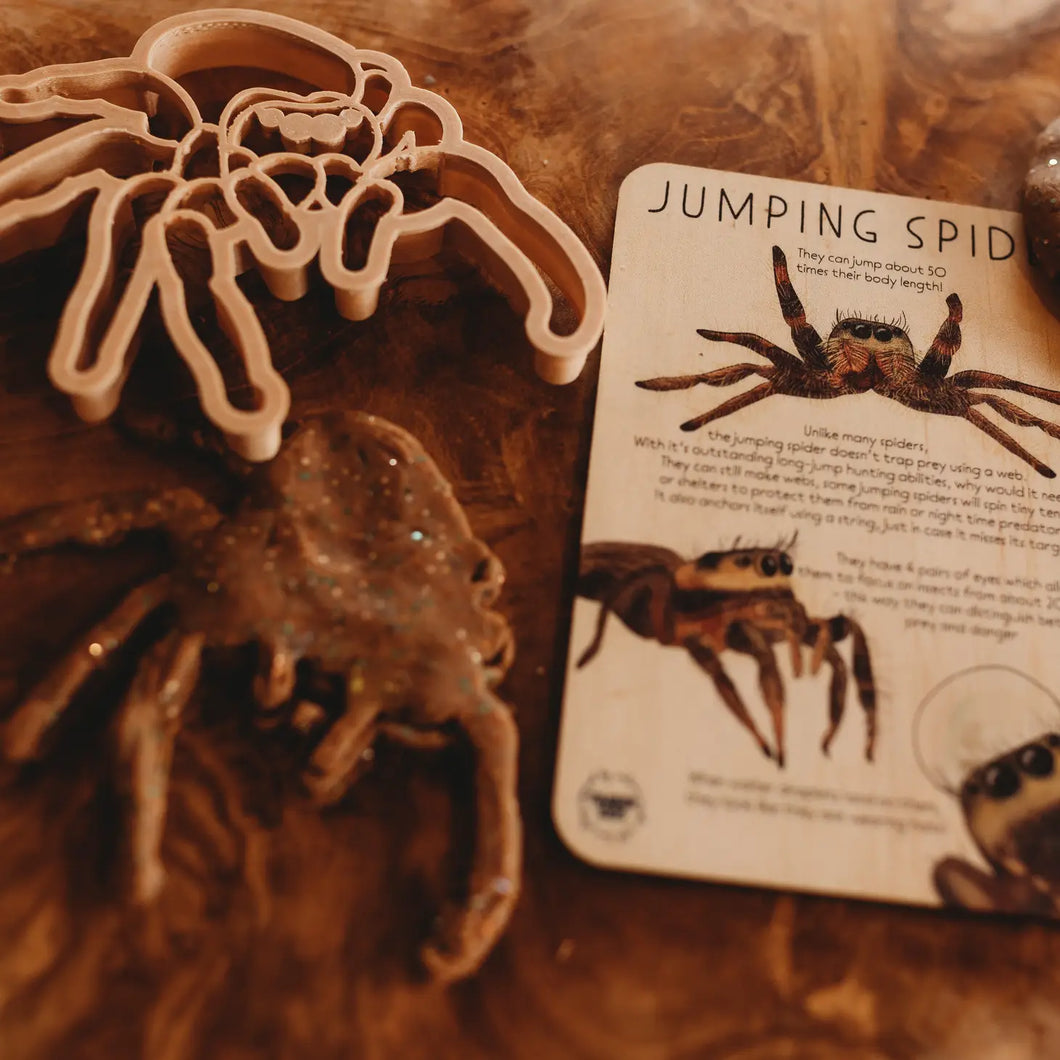 Kinfolk Pantry - Jumping Spider Eco Cutter