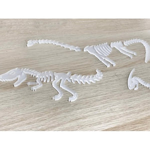 Sass and Spunk - Dinosaur Bones Set of 5 Acrylic