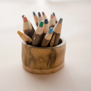 Qtoys -  Tree Colour Pencils With Holder