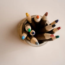 Load image into Gallery viewer, Qtoys -  Tree Colour Pencils With Holder
