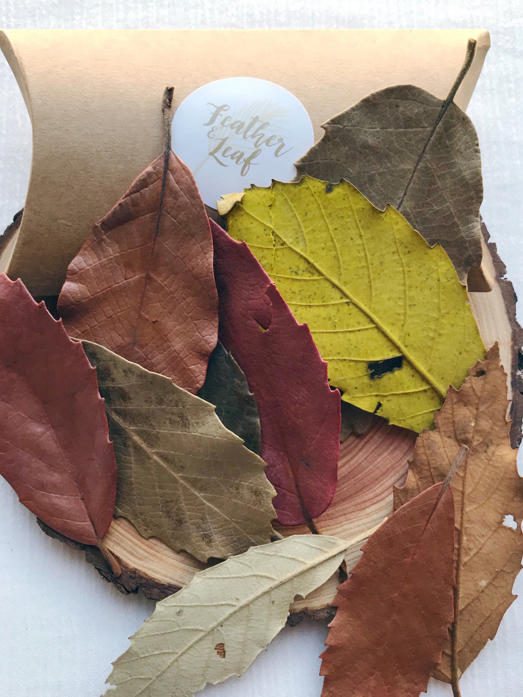 Autumn Leaves - 10 Pieces