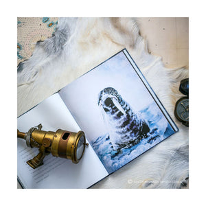 THE VIKING BOY BOOK