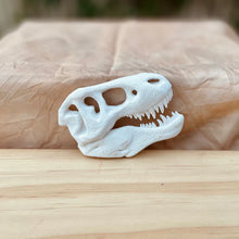 Load image into Gallery viewer, Beadie Bug Play - T-Rex Skull Fossil
