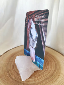 Crystal Card Stand - Very Pale Pink