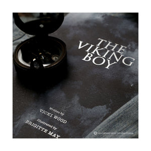 THE VIKING BOY BOOK